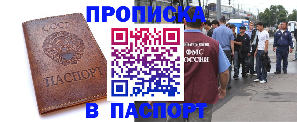 временная регистрация поиск в Апатитах